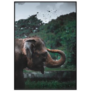 Skandinaavia stiilis postrid seinale