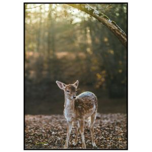 Skandinaavia stiilis postrid seinale