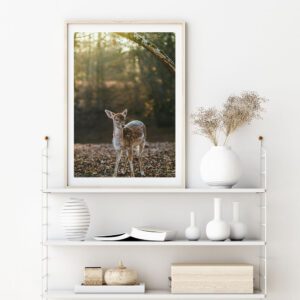 Skandinaavia stiilis postrid seinale