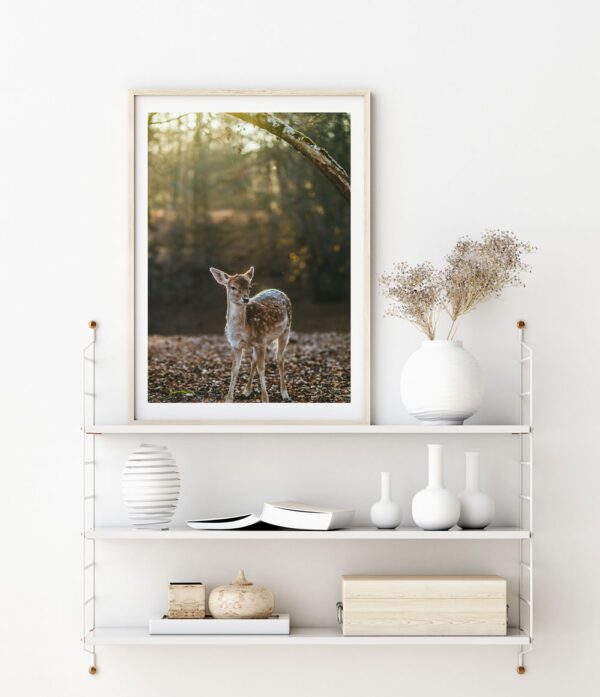 Skandinaavia stiilis postrid seinale