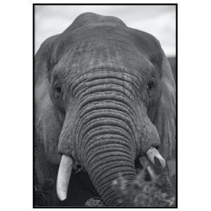 Skandinaavia stiilis postrid seinale