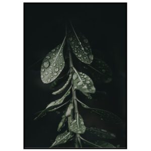 Skandinaavia stiilis postrid seinale