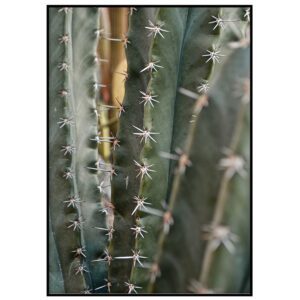 Skandinaavia stiilis postrid seinale