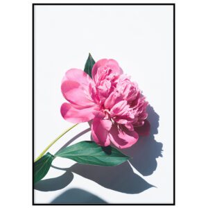 Skandinaavia stiilis postrid seinale