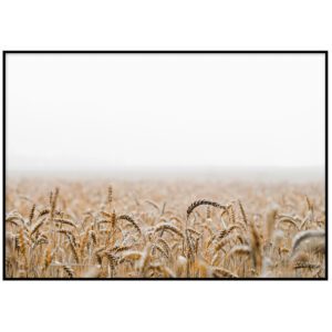 Skandinaavia stiilis postrid seinale