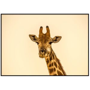 Skandinaavia stiilis postrid seinale