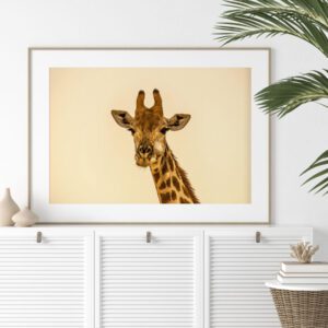 Skandinaavia stiilis postrid seinale