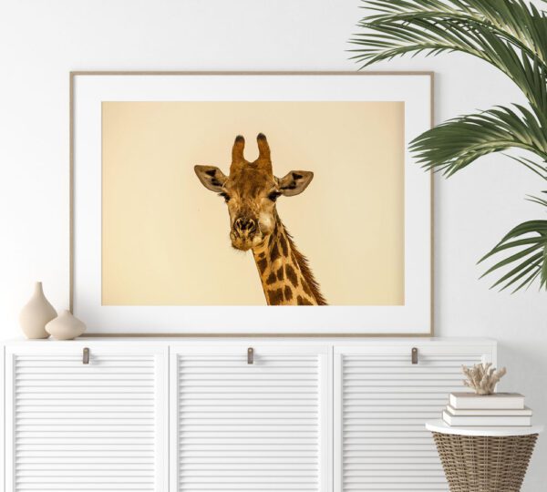 Skandinaavia stiilis postrid seinale