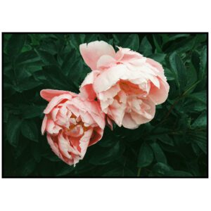 Skandinaavia stiilis postrid seinale