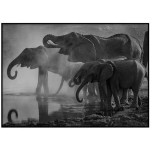 Skandinaavia stiilis postrid seinale