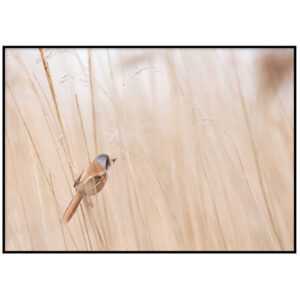 Skandinaavia stiilis postrid seinale