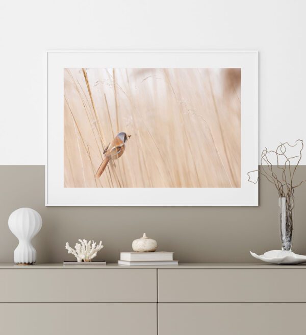 Skandinaavia stiilis postrid seinale