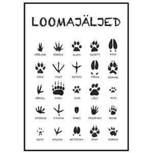 Skandinaavia stiilis postrid seinale