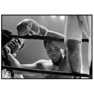 Skandinaavia stiilis postrid seinale