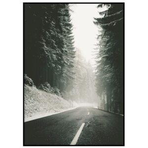 Skandinaavia stiilis postrid seinale