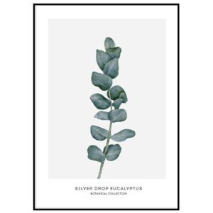 Skandinaavia stiilis postrid seinale