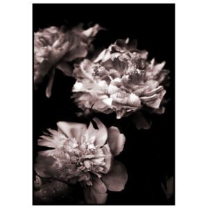 Skandinaavia stiilis postrid seinale