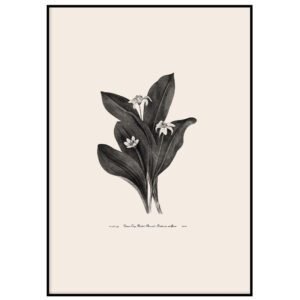 Skandinaavia stiilis postrid seinale