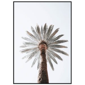 Skandinaavia stiilis postrid seinale