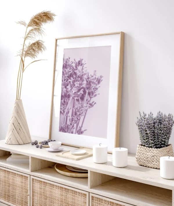 Lavendlililla - Vaizdas 2