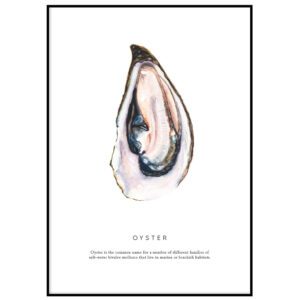 Oyster