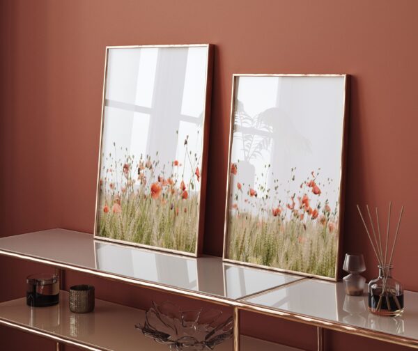 Poppies II - Vaizdas 2