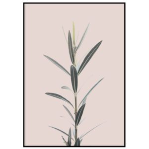 Troopika roosal taustal II