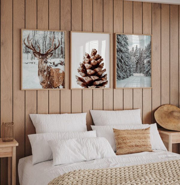 Lumine metsarada - Vaizdas 2