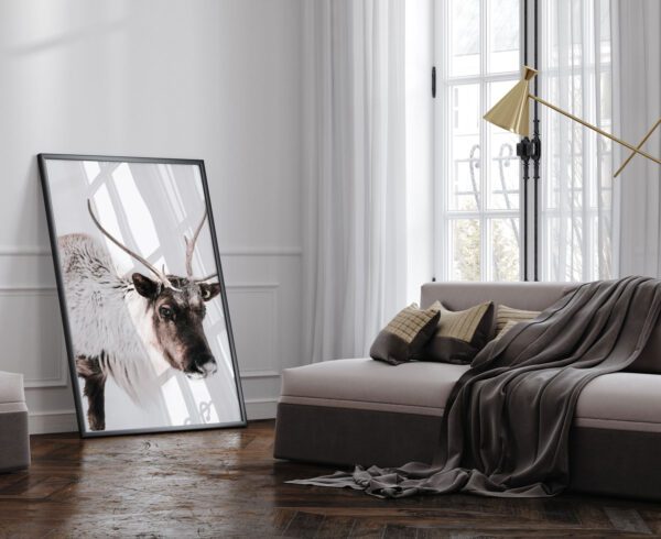 Valgel taustal põder - Vaizdas 2