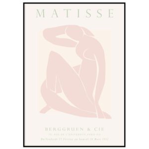 Matisse IX