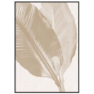 Beežid banaanilehed II