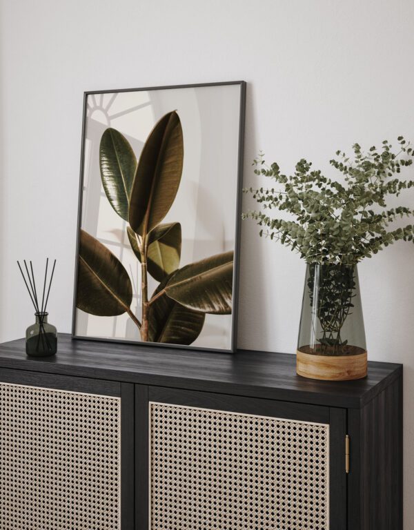 Kummipuu - Vaizdas 2