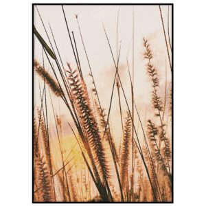 Loojangus kõrrelised II