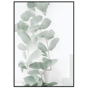 Rohelised eukalüpti lehed II