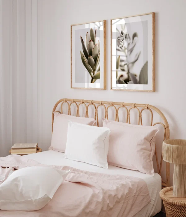 Pastelne kaktus II - Vaizdas 2