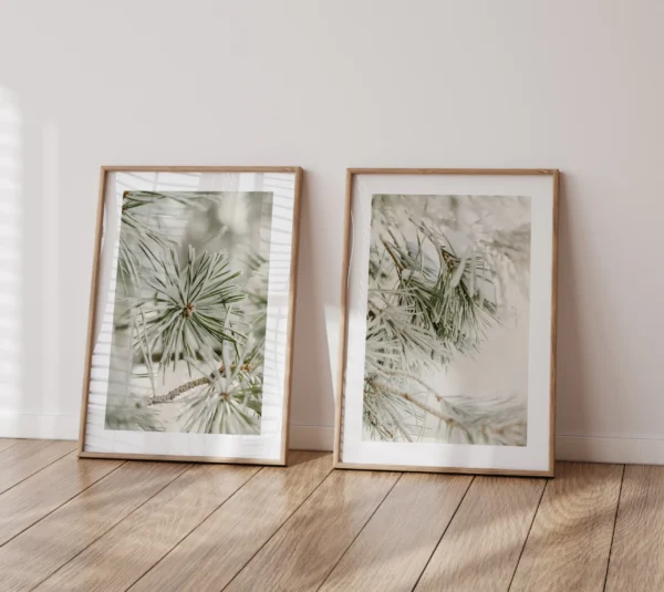 Männid I - Vaizdas 2