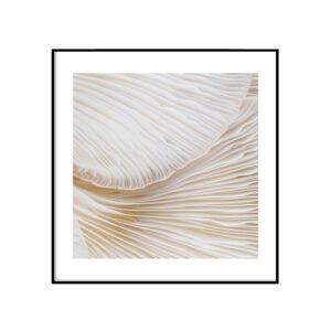 Seenelised
  I - ruut