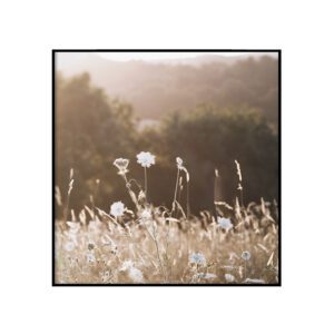 Soe
  päikeseloojang I - ruut