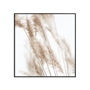 Kõrkjalised
  II - ruut