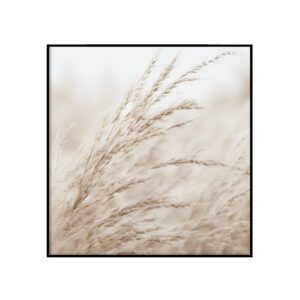 Kõrkjalised
  III - ruut