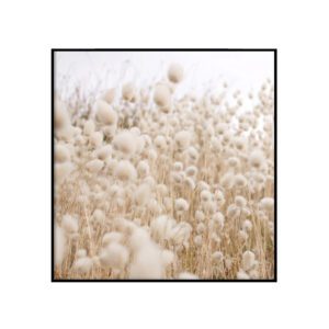 Boho
  coastal III - ruut