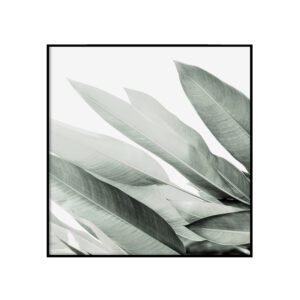 Rohelised
  lehed II - ruut