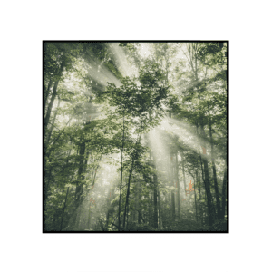 Glenfinnan
  III - ruut