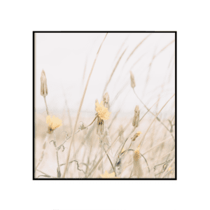 Looduses
  II - ruut