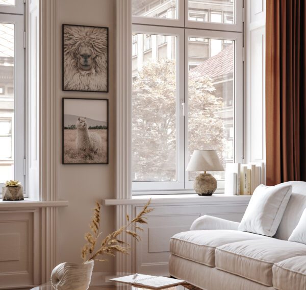 Alpaka II - Vaizdas 2