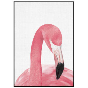 Flamingo portree
