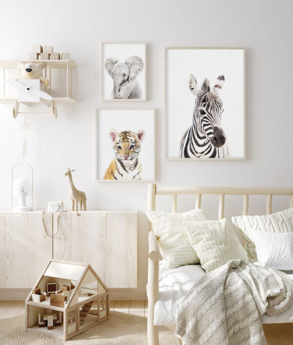 Tiigri portree - Vaizdas 2