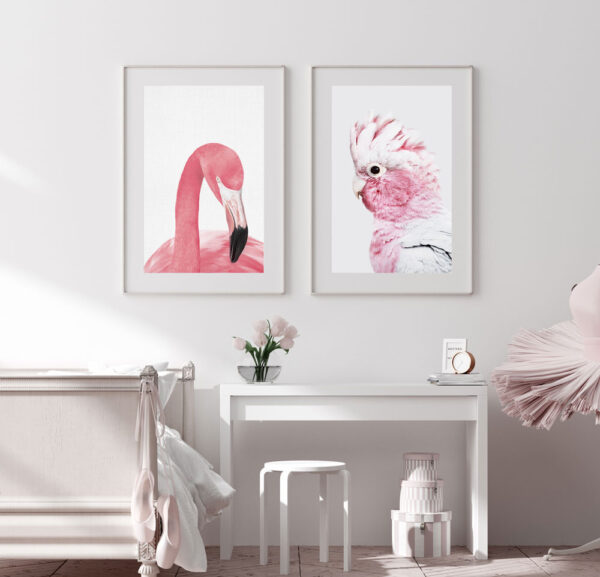 Roosa kakaduu - Vaizdas 2