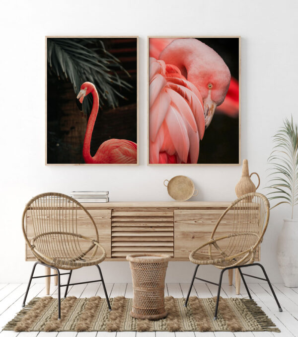 Flamingo II - Vaizdas 2