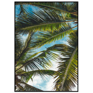 Palmilehed päikeses